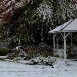 Gazebo in winter