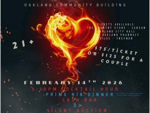 fire, ice, pool, fundraiser, formal