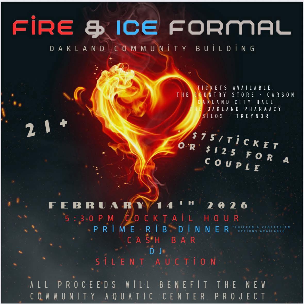 fire, ice, pool, fundraiser, formal